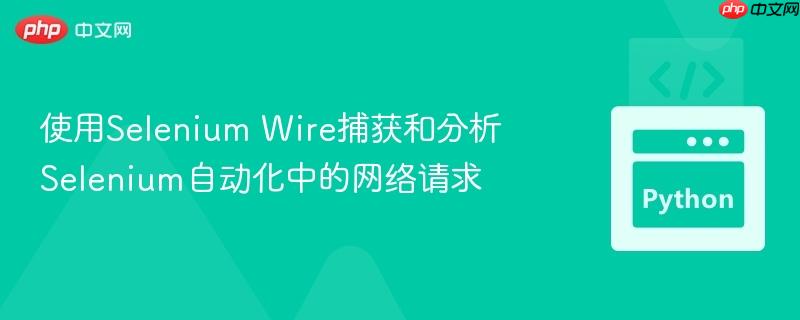 使用Selenium Wire捕获和分析Selenium自动化中的网络请求