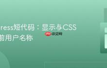 WordPress短代码：显示与CSS美化当前用户名称