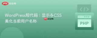 WordPress短代码：显示与CSS美化当前用户名称