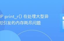 解析PHP print_r() 在处理大型异常追踪时引发的内存耗尽问题