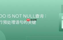 PHP PDO IS NOT NULL查询：正确执行预处理语句的关键