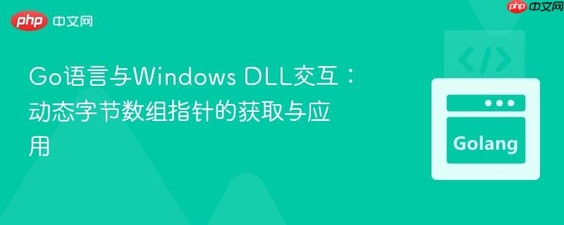 go语言与windows dll交互：动态字节数组指针的获取与应用