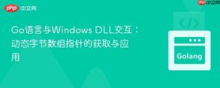 Go语言与Windows DLL交互：动态字节数组指针的获取与应用
