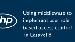 Verwendung von Middleware zur Implementierung einer benutzerrollenbasierten Zugriffskontrolle in Laravel 8