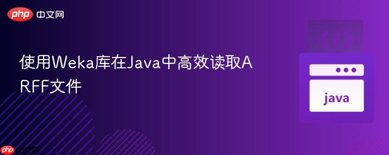 使用Weka库在Java中高效读取ARFF文件