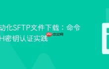 PHP自动化SFTP文件下载：命令行与SSH密钥认证实践