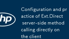Konfiguration und Praxis des serverseitigen Ext.Direct-Methodenaufrufs direkt auf dem Client
