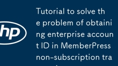 Tutorial zum Beheben von Ausnahmen beim Erhalt der Firmenkonto-ID bei MemberPress-Transaktionen ohne Abonnement