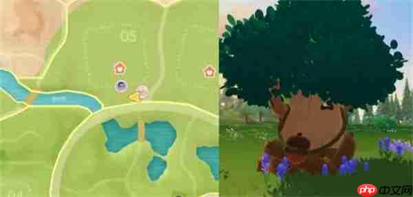 心动小镇11.7溜溜橡木与无瑕萤石位置