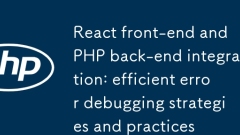 React-Front-End- und PHP-Back-End-Integration: effiziente Strategien und Praktiken zur Fehlerbehebung
