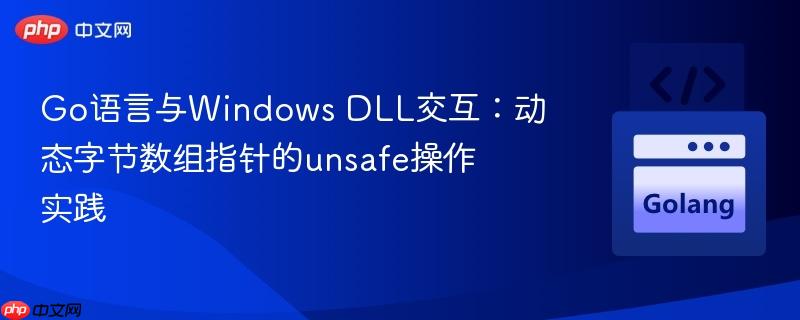 Go语言与Windows DLL交互:动态字节数组指针的unsafe操作实践
