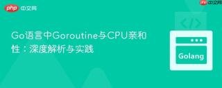 Go语言中Goroutine与CPU亲和性：深度解析与实践