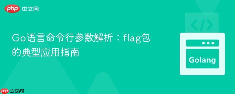 Go语言命令行参数解析:flag包的典型应用指南