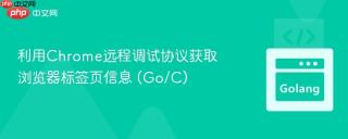 利用Chrome远程调试协议获取浏览器标签页信息 (Go/C)