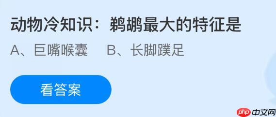 动物冷知识:鹈鹕最大的特征是什么?蚂蚁庄园课堂今天答案最新11月8日