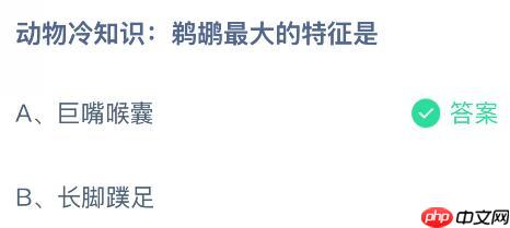 动物冷知识:鹈鹕最大的特征是什么?蚂蚁庄园课堂今天答案最新11月8日