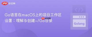 Go语言在macOS上的项目工作区设置：理解与创建~/Go目录