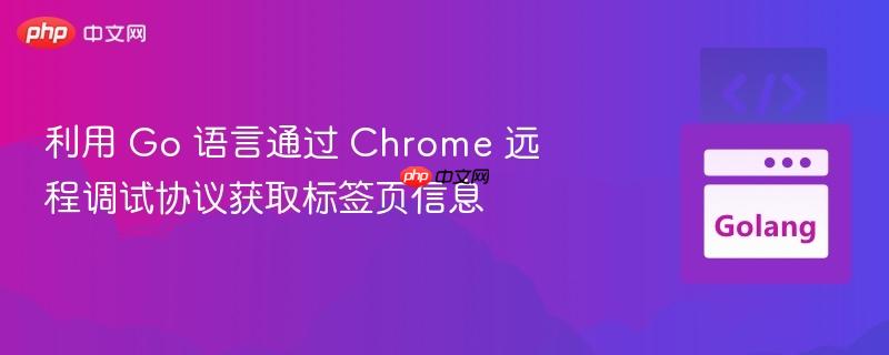 利用 go 语言通过 chrome 远程调试协议获取标签页信息