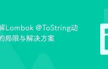 深入理解Lombok @ToString动态注入的局限与解决方案