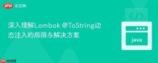 深入理解Lombok @ToString动态注入的局限与解决方案
