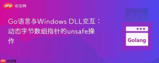 Go语言与Windows DLL交互：动态字节数组指针的unsafe操作