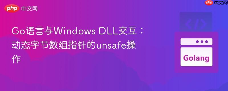 go语言与windows dll交互:动态字节数组指针的unsafe操作