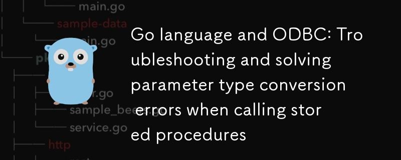 Go Language et ODBC : dépannage et résolution des erreurs de conversion de type de paramètre lors de l'appel de procédures stockées