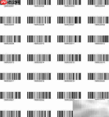 Labelmx生成条码流水号