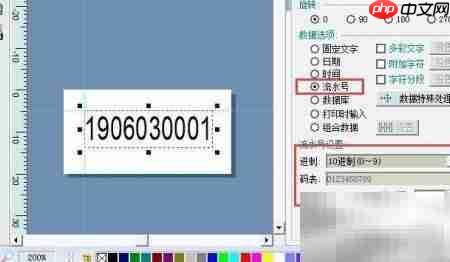 Labelmx生成条码流水号