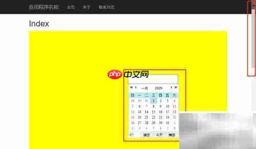 日期控件开发工具在哪 日期的控件