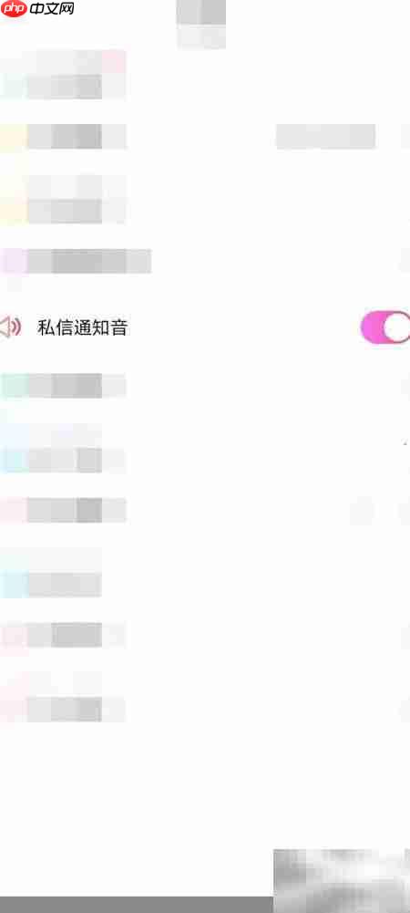 开启私信通知音方法