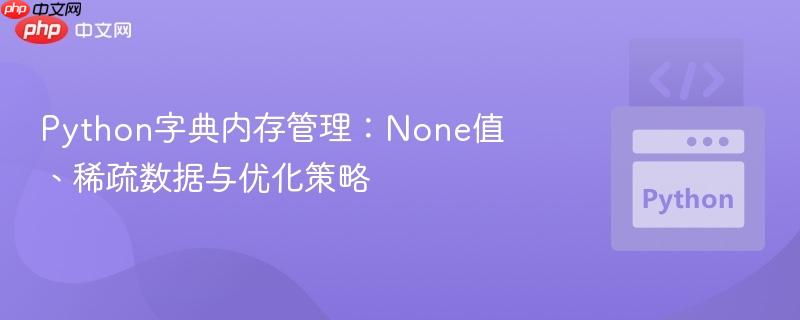 python字典内存管理:none值、稀疏数据与优化策略