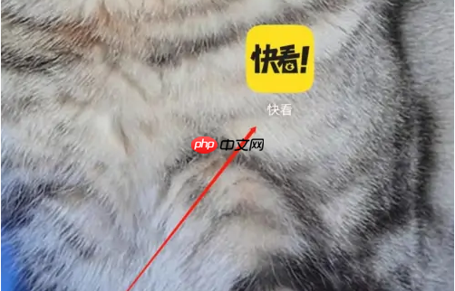 《快看漫画》看视频方法