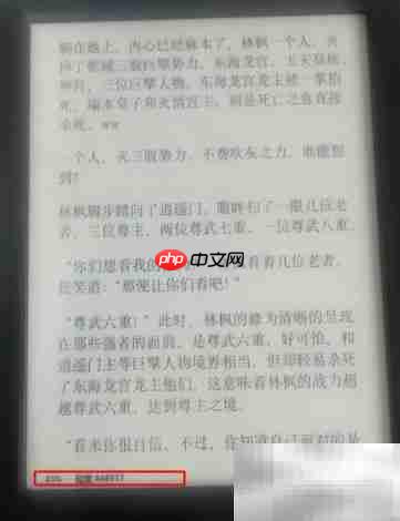 Kindle阅读进度查看技巧