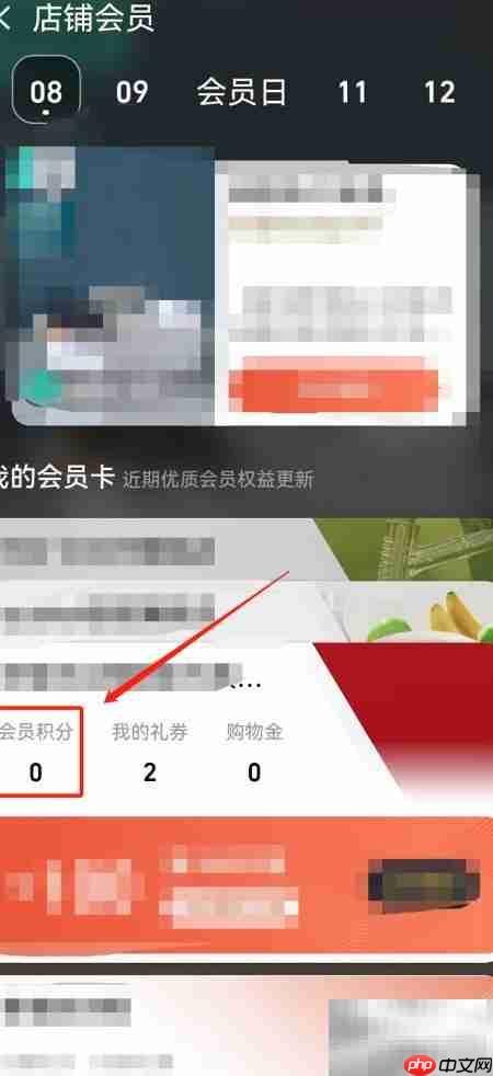 淘宝会员积分查询指南