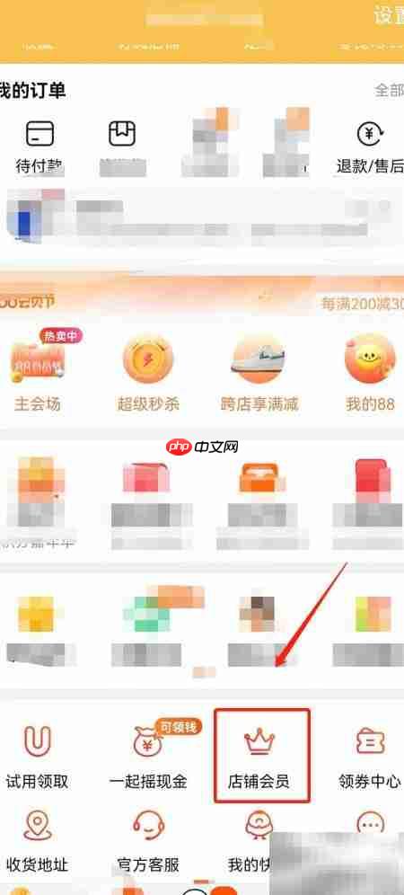 淘宝会员积分查询指南