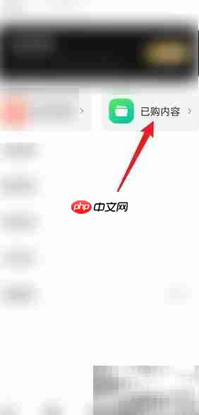 天天素材已购包查看指南