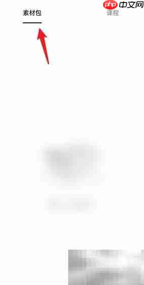 天天素材已购包查看指南