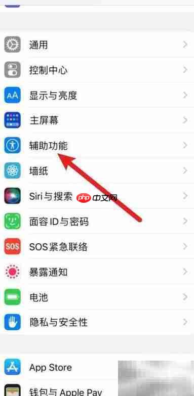 苹果手机开机黑屏怎么办