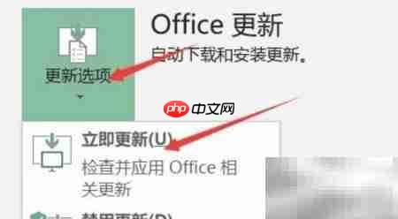 Excel安装Power BI插件指南