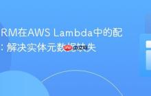 TypeORM在AWS Lambda中的配置优化：解决实体元数据缺失问题