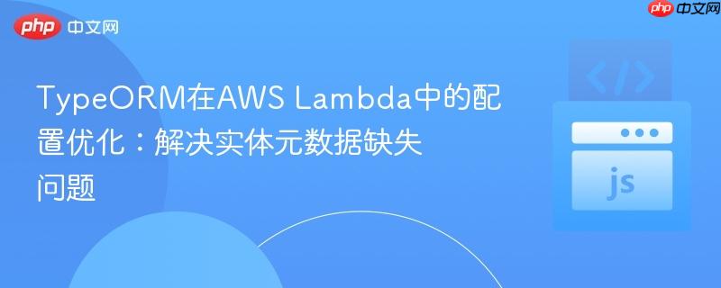 TypeORM在AWS Lambda中的配置优化:解决实体元数据缺失问题