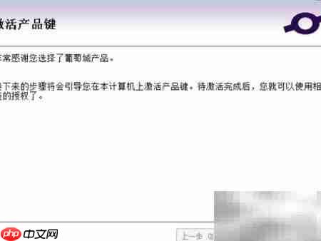 激活Spread表格控件指南