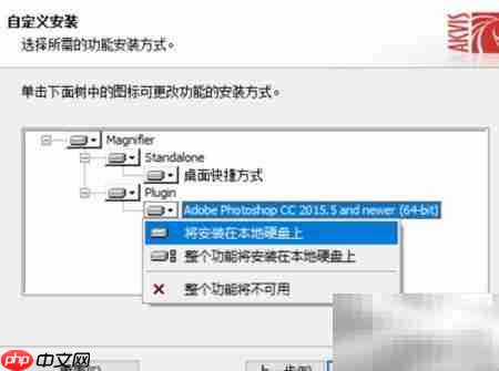 Magnifier2021安装使用指南