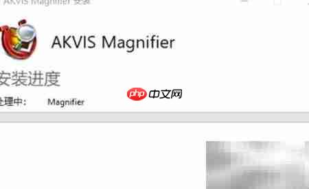 Magnifier2021安装使用指南
