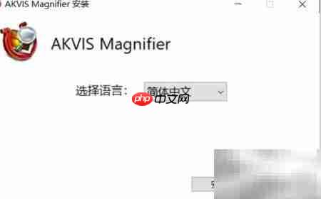 Magnifier2021安装使用指南