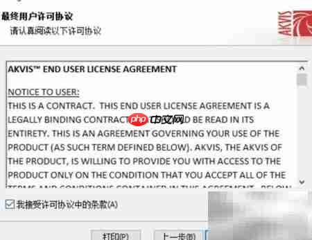 Magnifier2021安装使用指南