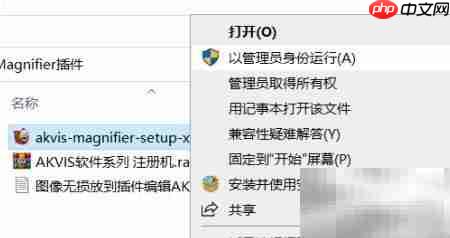 Magnifier2021安装使用指南