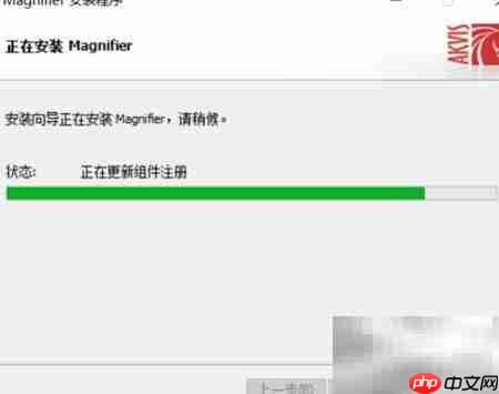 Magnifier2021安装使用指南