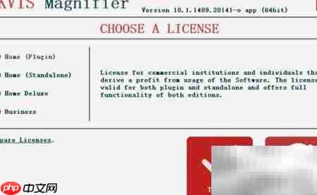 Magnifier2021安装使用指南